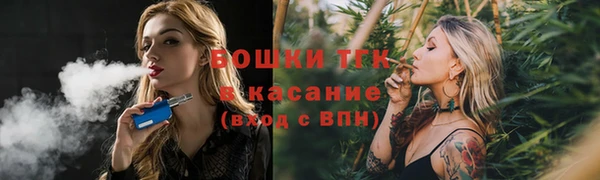 ГАЛЛЮЦИНОГЕННЫЕ ГРИБЫ Арсеньев