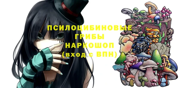 ГАЛЛЮЦИНОГЕННЫЕ ГРИБЫ Арсеньев