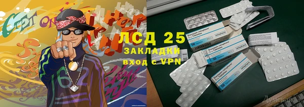 ГАЛЛЮЦИНОГЕННЫЕ ГРИБЫ Арсеньев