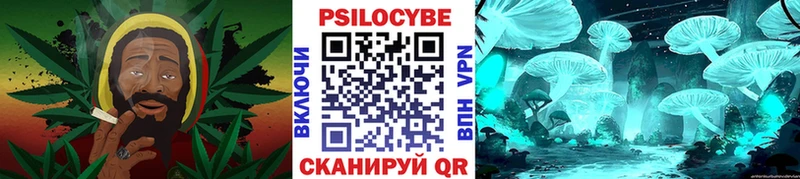 Галлюциногенные грибы Psilocybe  наркошоп  Полярные Зори 